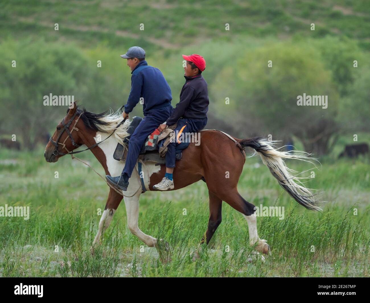 Spectators arriving by horse.  Folk Festival commemorating the origin myth the Tien Shan Maral (Tian Shan wapiti), an origin myth of the Kyrgyz tribes Stock Photo