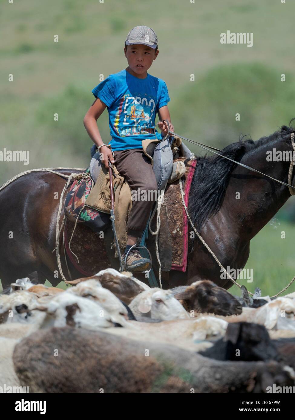 Young shepherd driving sheep. Folk Festival commemorating the origin myth the Tien Shan Maral (Tian Shan wapiti), an origin myth of the Kyrgyz tribes. Stock Photo