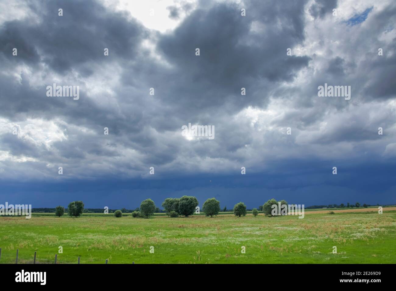 Gewitterwolken, Wiese, Landkreis Oder-Spree, Brandenburg, Deutschland Stock Photo