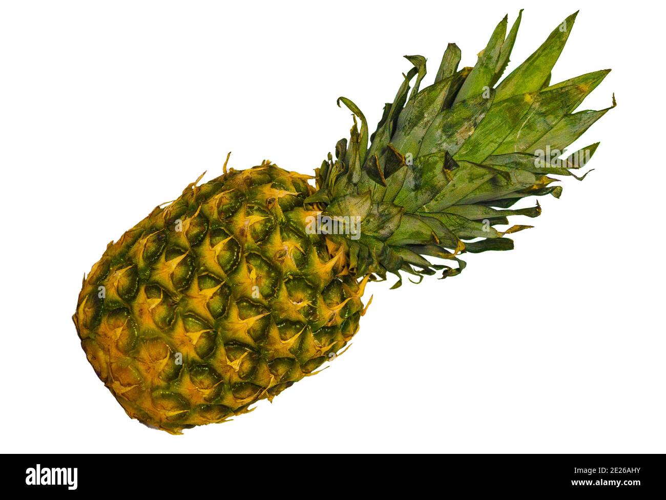 Natural pineapple on a white background. Closeup of pineapple in