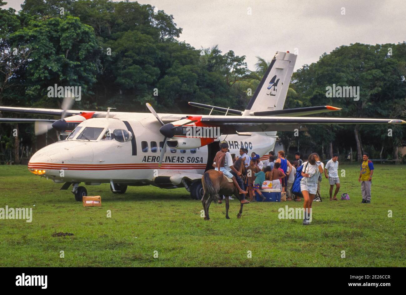 PALACIOS, BRUS LAGUNA, HONDURAS, DECEMBER 1995 - Aerolineas SOSA passenger plane arrives on grass runway, north coast, near Rio Platano Biosphere Reserve. Stock Photo