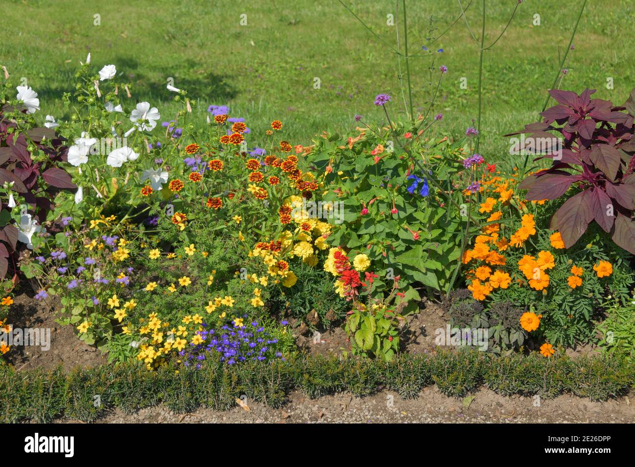 Blumenbeete, Park, Klostergarten, Neuzelle, Brandenburg, Deutschland Stock Photo
