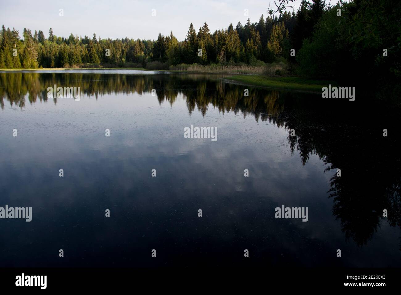 Der Moorsee Etang des Royes in den jurassischen Freibergen Stock Photo