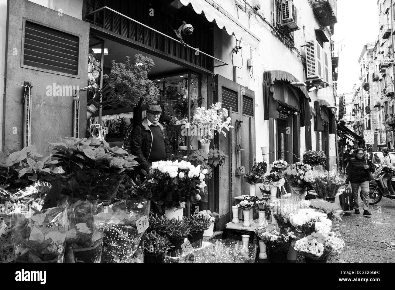 Naples, Italy. Florist shop display with traditional Christmas poinsettia plants, red peppers and flower bouquets. Senior man in entry. Black white Stock Photo