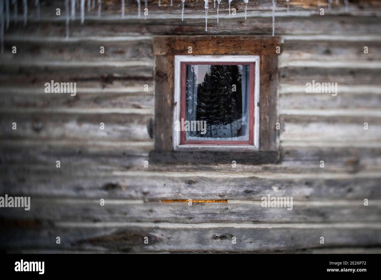 Trees reflected in a rustic cabin window Stock Photo - Alamy