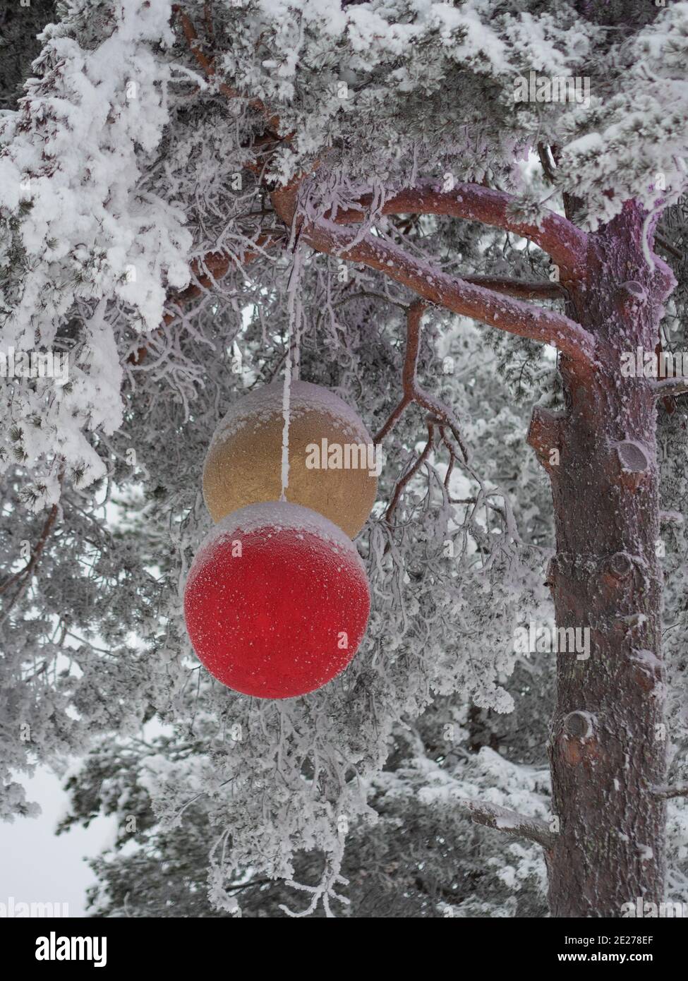 Large Christmas toys on the tree, Christmas decorations Stock Photo