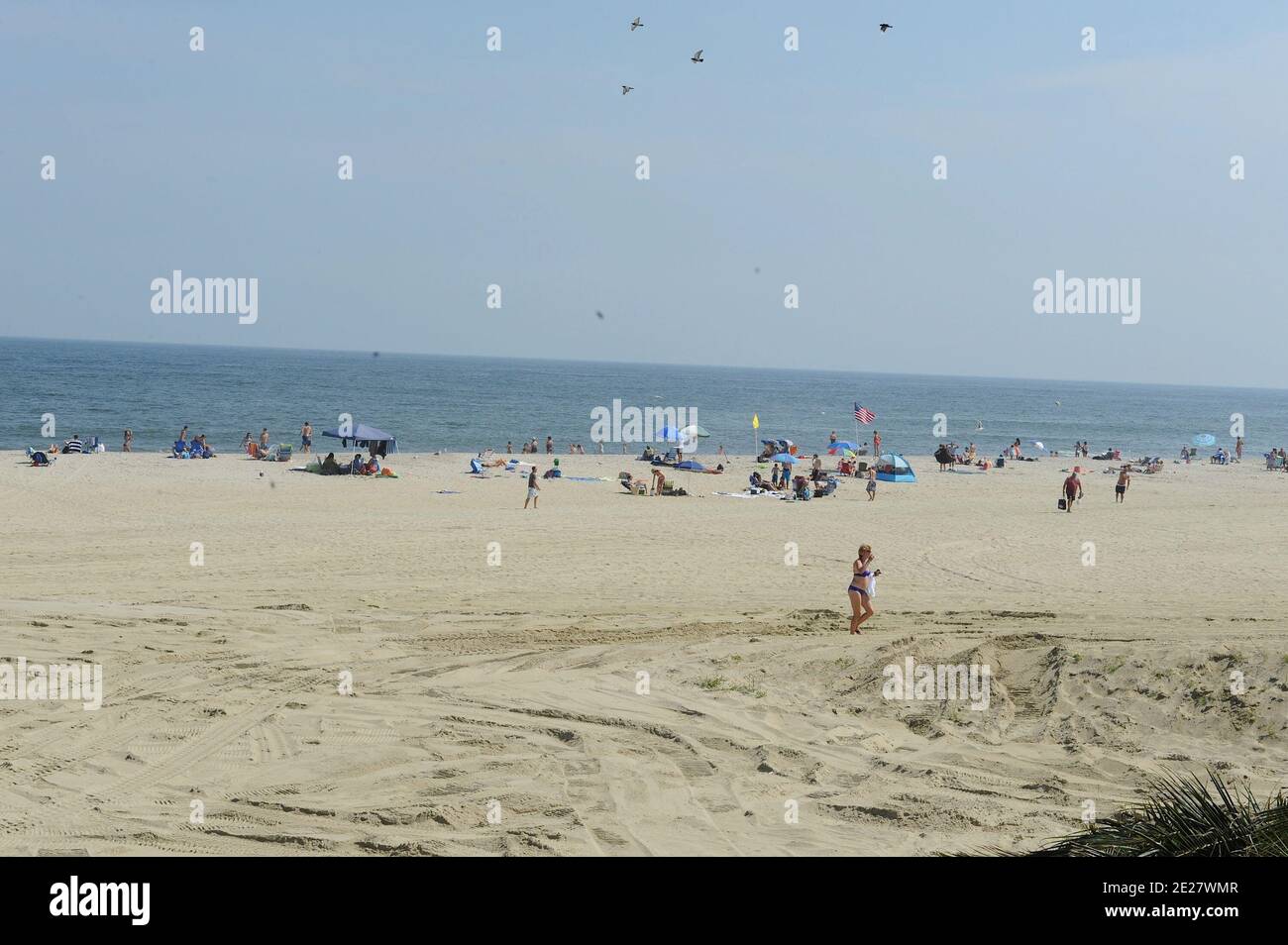 Removal of palm trees and other items from the beach at Pier Village along the New Jersey Shore in preparation for the arrival of Hurricane Irene, Long Branch in New Jersey on August 26, 2011. Photo by Graylock/ABACAPRESS.COM Stock Photo