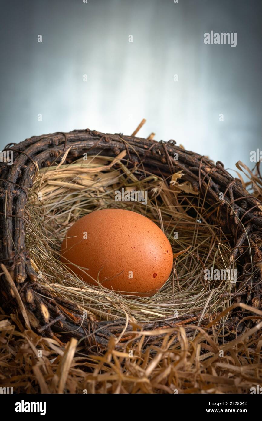 Fresh chicken eggs in a nest on a dark background Stock Photo - Alamy