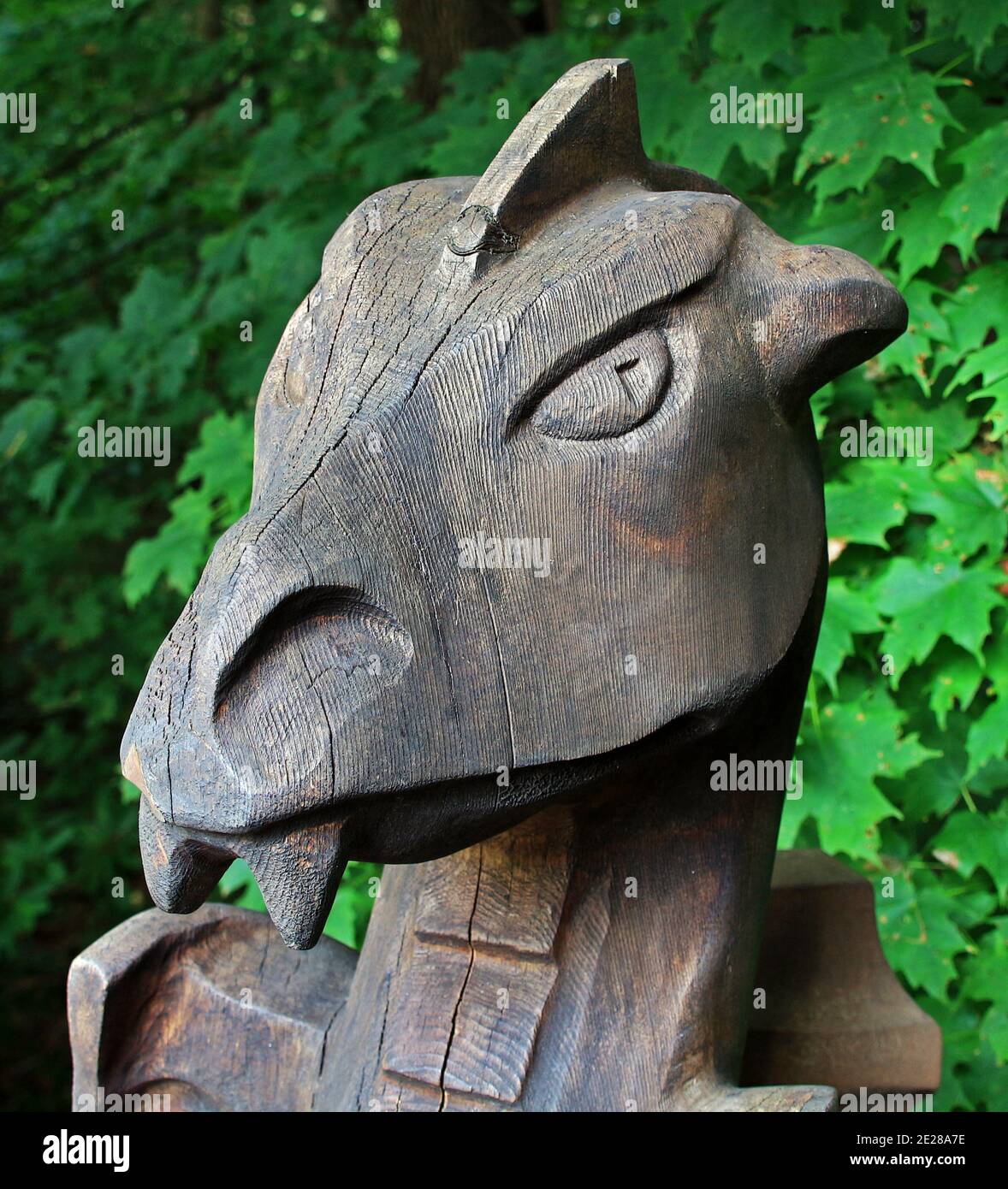 Dragon head wood hires stock photography and images Alamy
