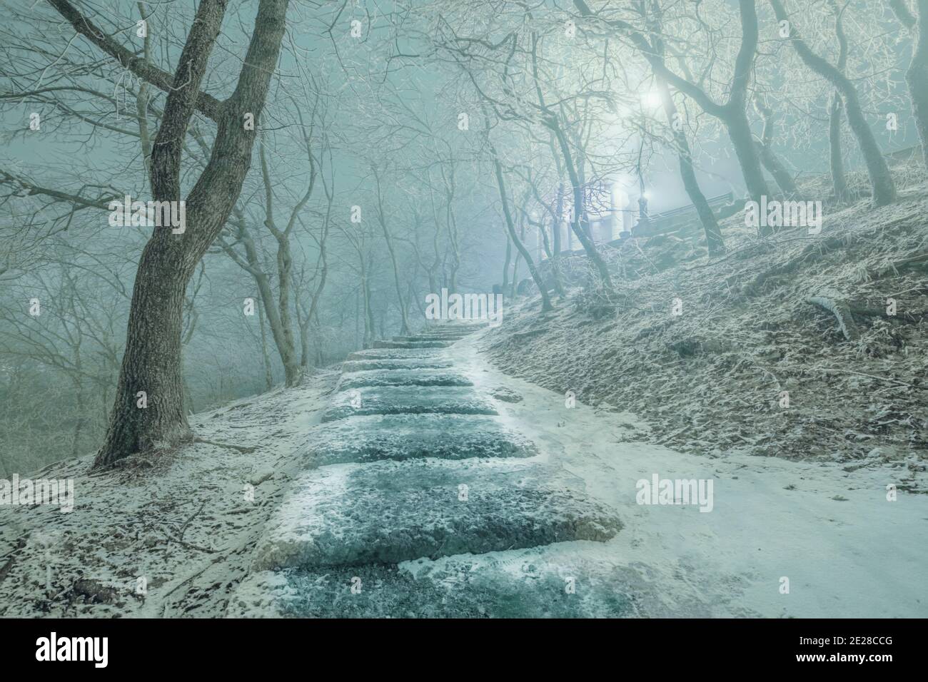 Road defocused light night tree hi-res stock photography and images - Alamy