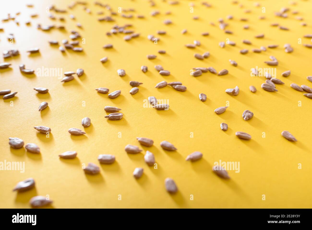 Sunflower seeds peeled shot hi-res stock photography and images - Alamy