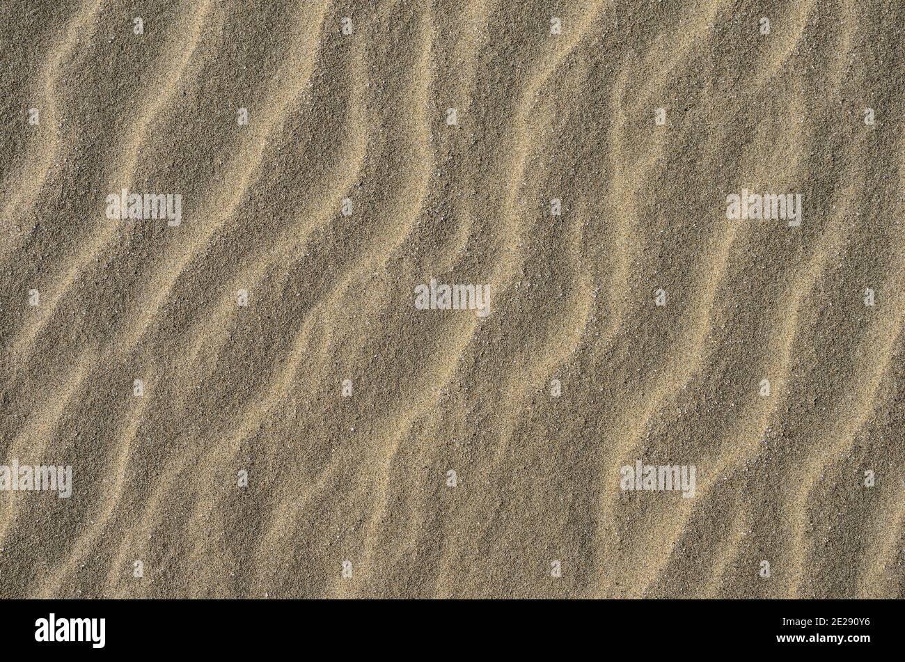 The texture of a sandy surface with natural waves formed by the winds. Background. Stock Photo