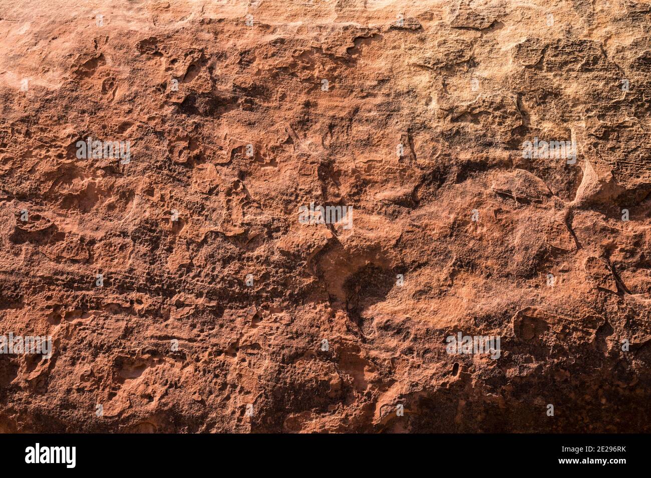 Sandstone rock wall in Canyonlands National Park, Utah, USA. Stock Photo