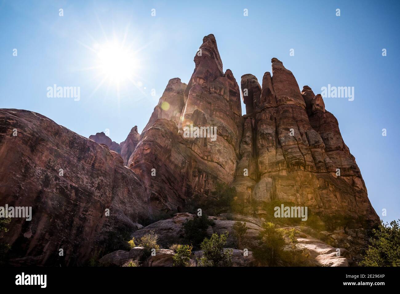 Rock pinnacles in the Needles District's near the Chesler Park trail, Canyonlands National Park, Utah, USA. Stock Photo