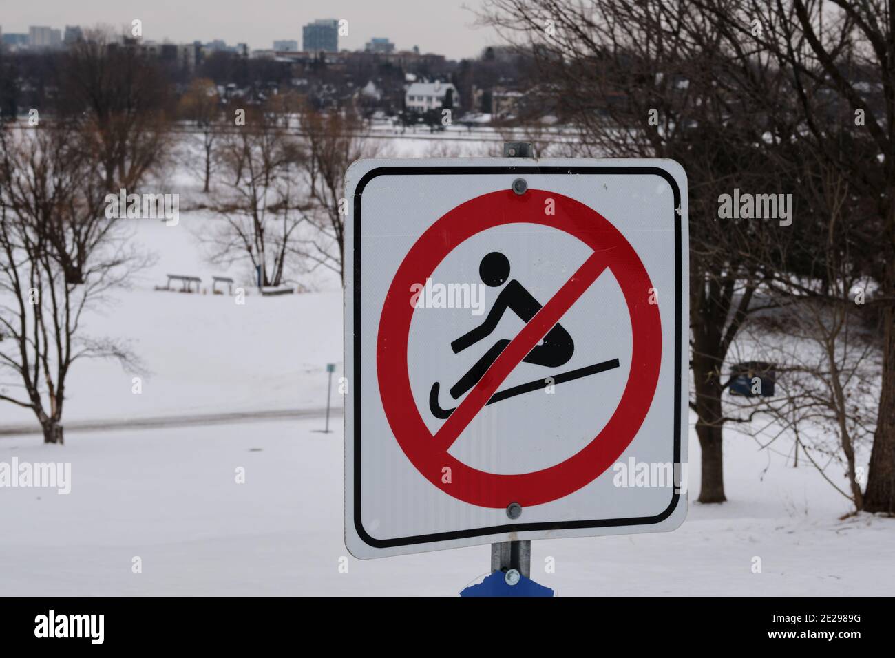 No sledding sign at top of hill in Ottawa Stock Photo - Alamy