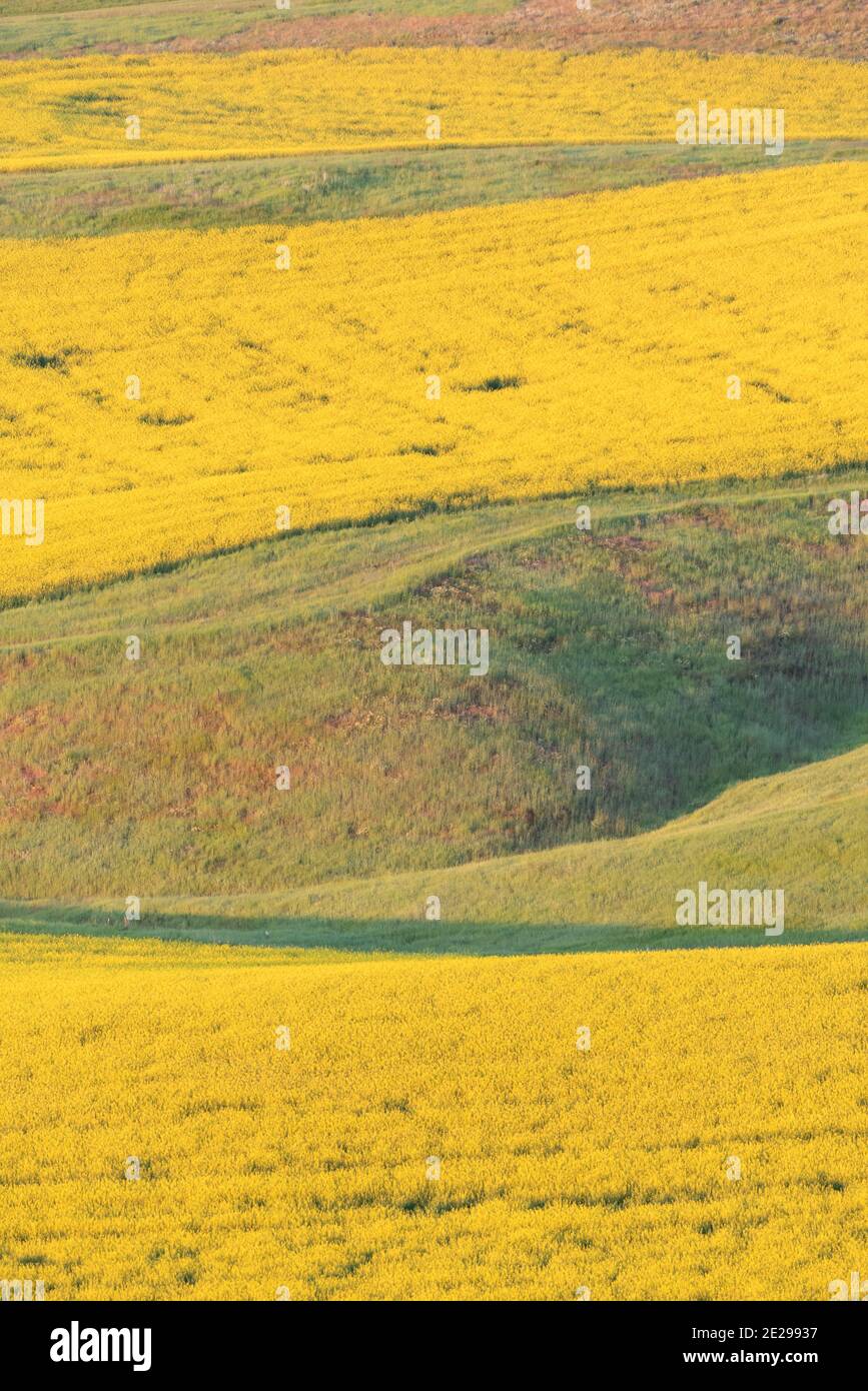 Crop patterns hi-res stock photography and images - Alamy