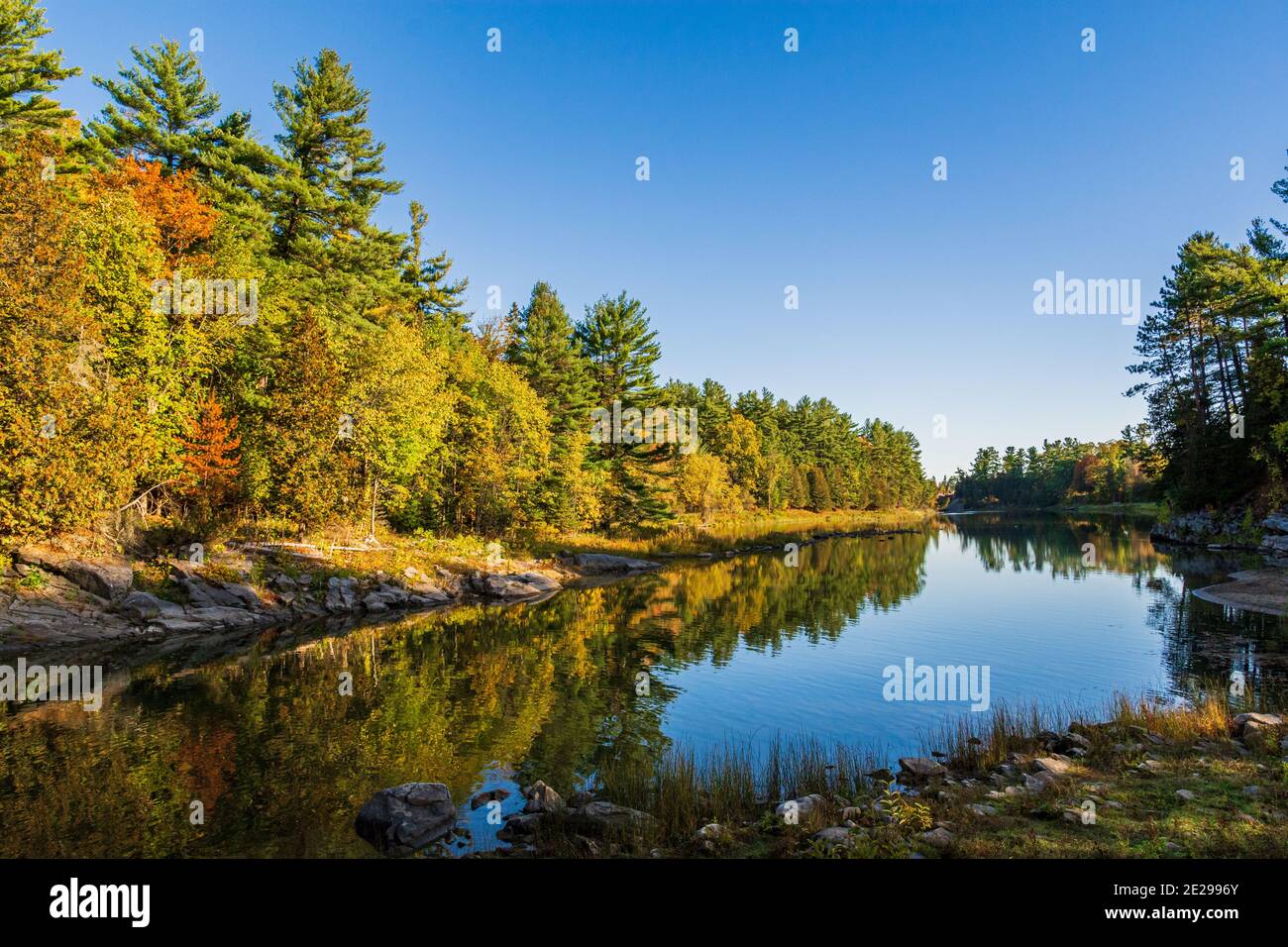 Algonquin Park Ontario Canada In Autumn Stock Photo