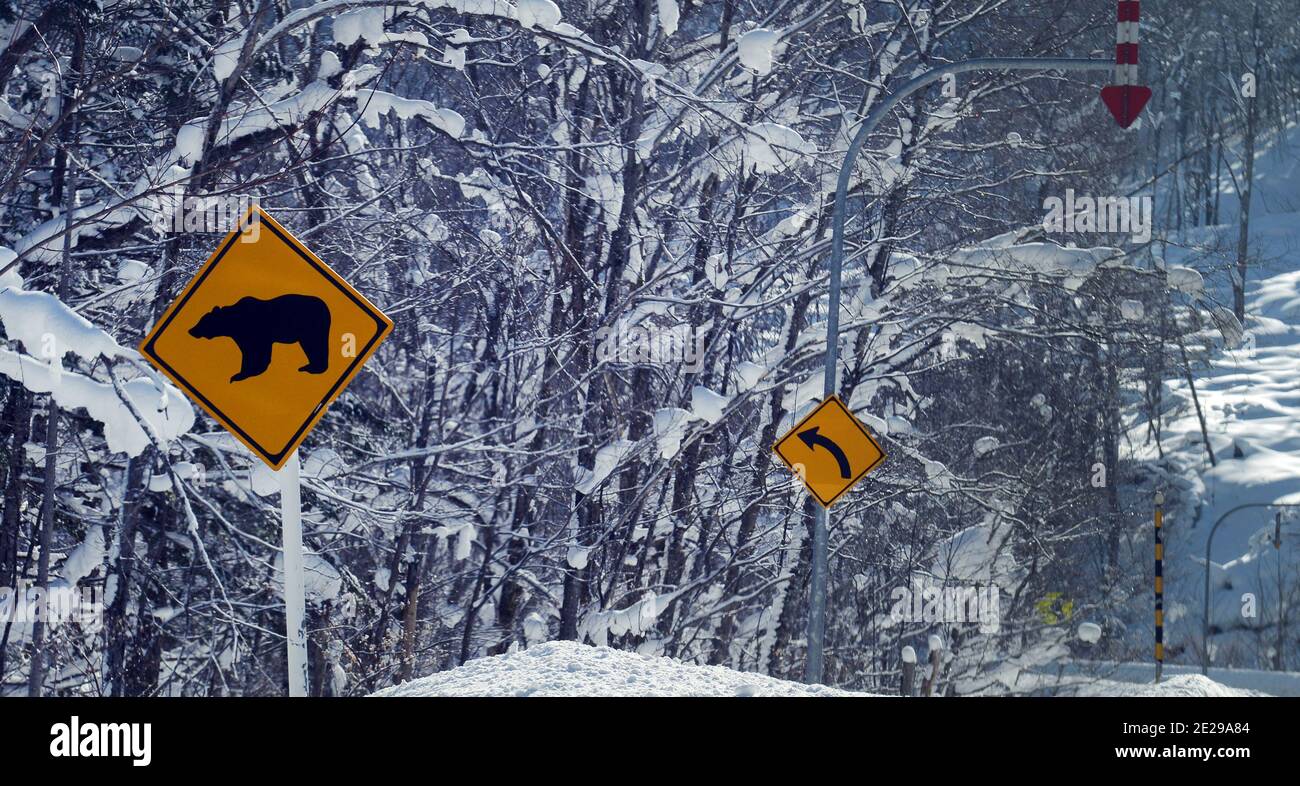Bear warning road sign in Hokkaido, Japan. Stock Photo