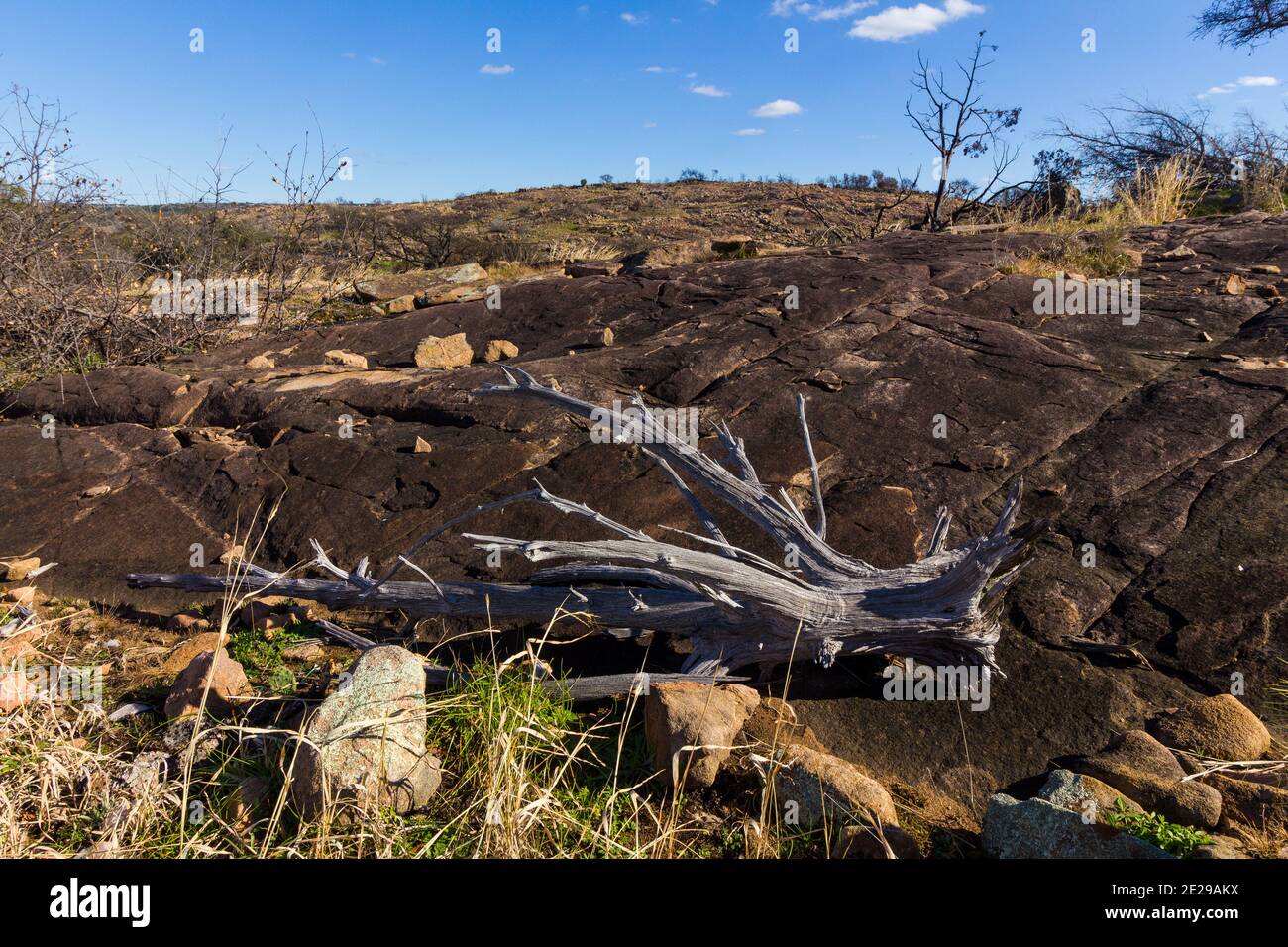 Landscape at Inks Lake in Central Texas Hill Country Stock Photo