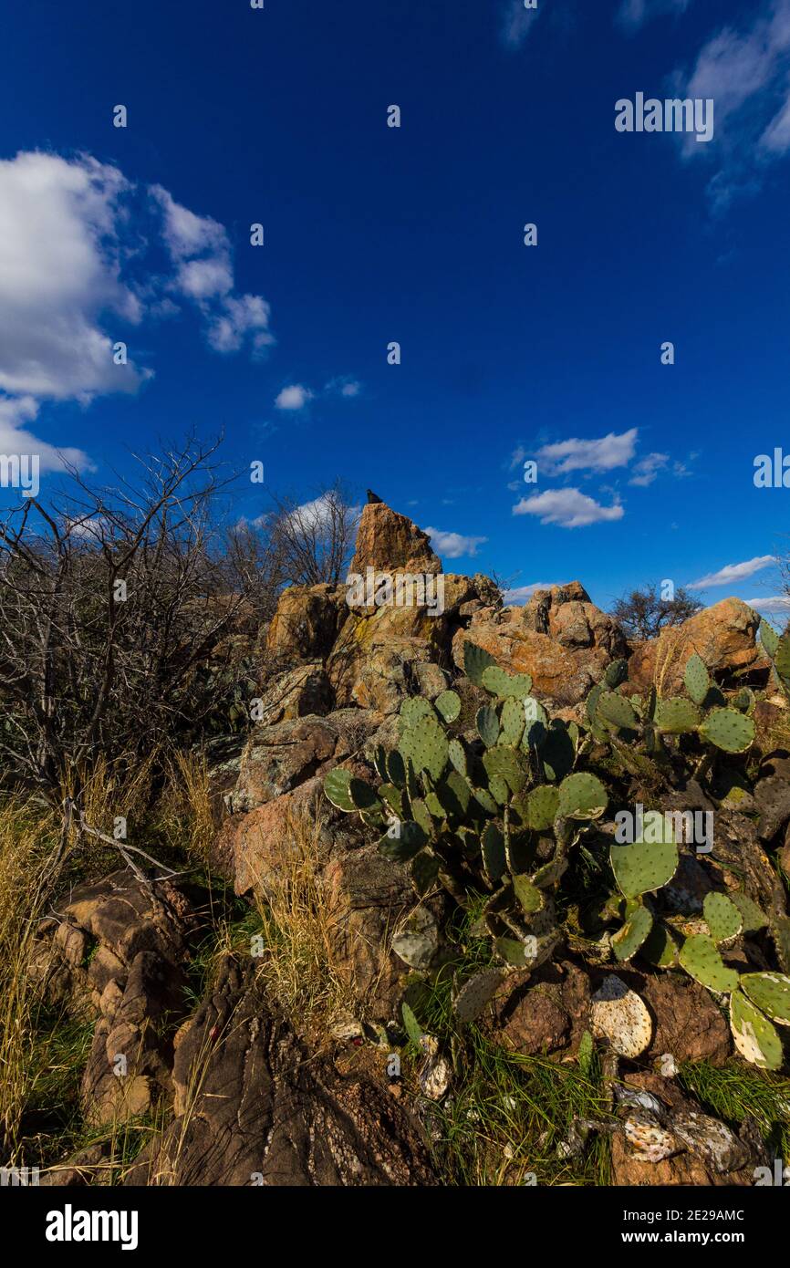 Landscape at Inks Lake in Central Texas Hill Country Stock Photo Alamy