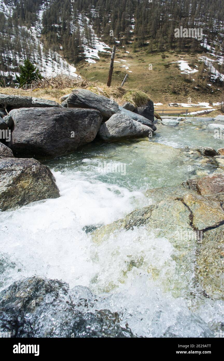 Vertical shot of a river flowing among the forest captured in Sw Stock ...