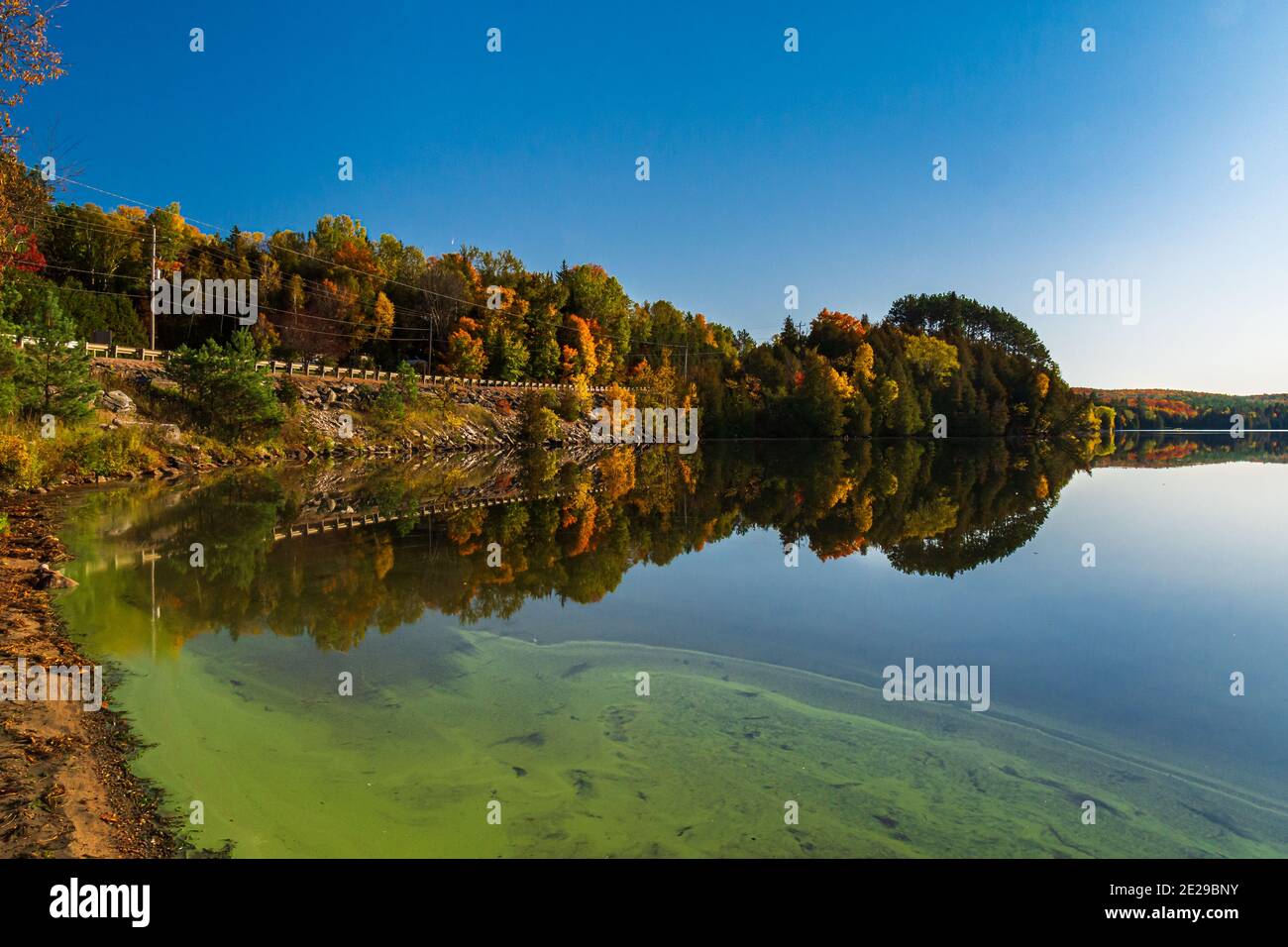 Algonquin Park Ontario Canada In Autumn Stock Photo