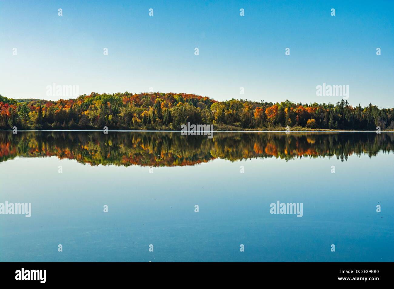 Algonquin Park Ontario Canada In Autumn Stock Photo