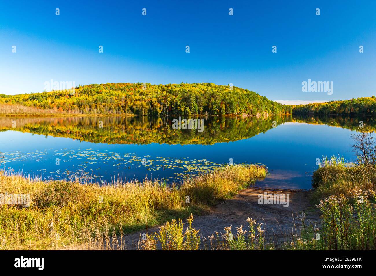 Algonquin Park Ontario Canada In Autumn Stock Photo