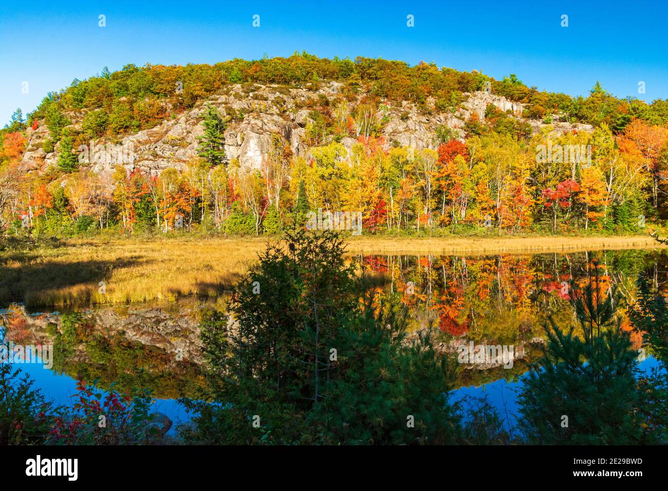 Algonquin Park Ontario Canada In Autumn Stock Photo