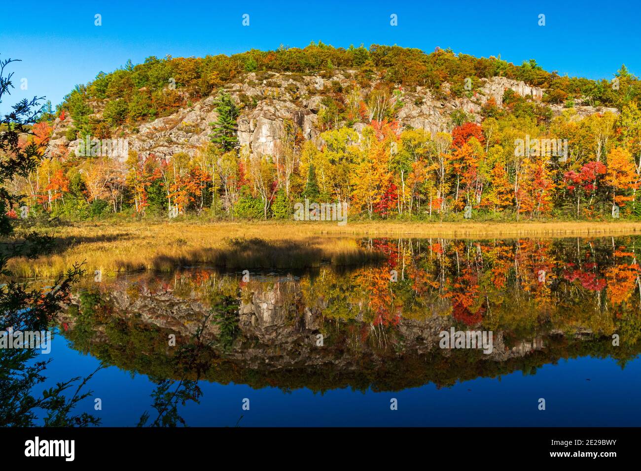 Algonquin Park Ontario Canada In Autumn Stock Photo