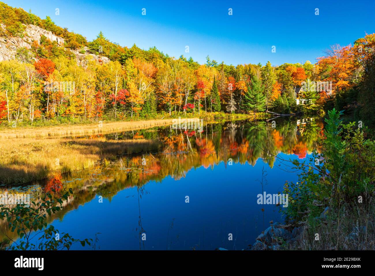 Algonquin Park Ontario Canada In Autumn Stock Photo