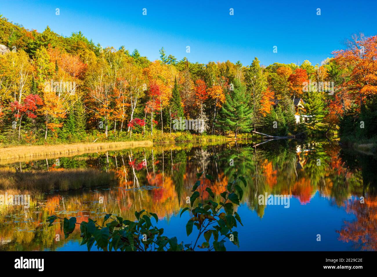 Algonquin Park Ontario Canada In Autumn Stock Photo - Alamy