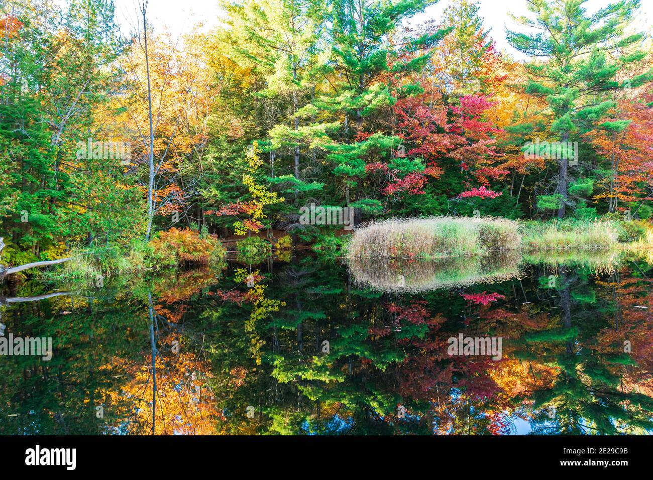 Algonquin Park Ontario Canada In Autumn Stock Photo