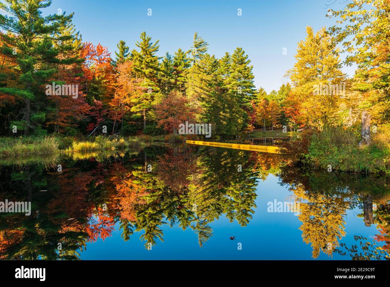 Algonquin Park Ontario Canada In Autumn Stock Photo