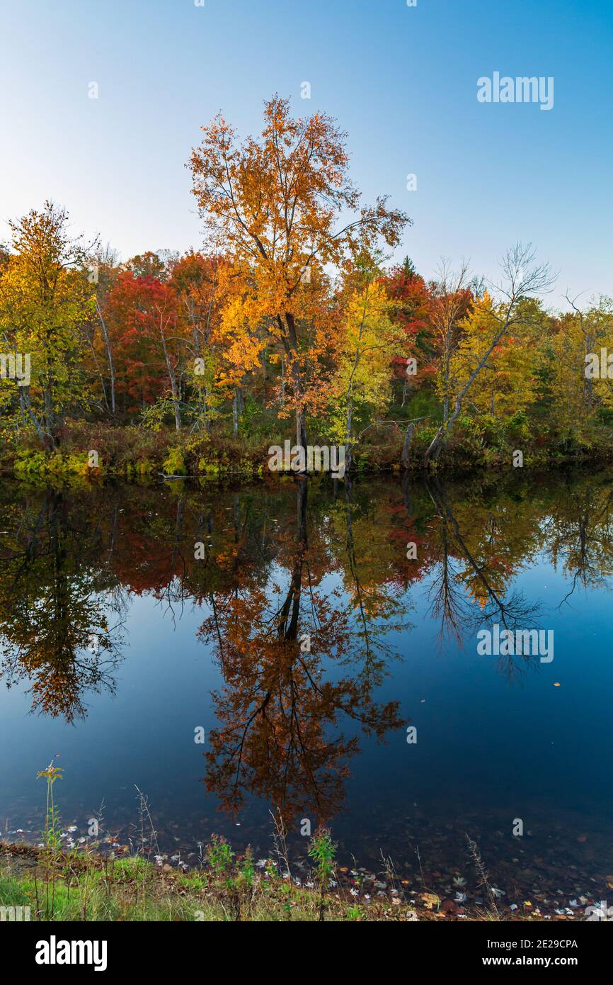 Algonquin Park Ontario Canada In Autumn Stock Photo