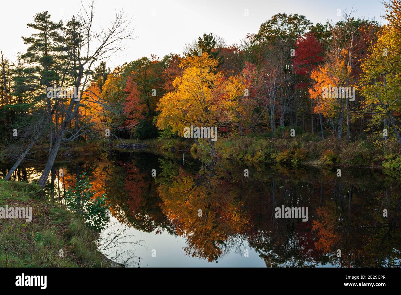 Algonquin Park Ontario Canada In Autumn Stock Photo