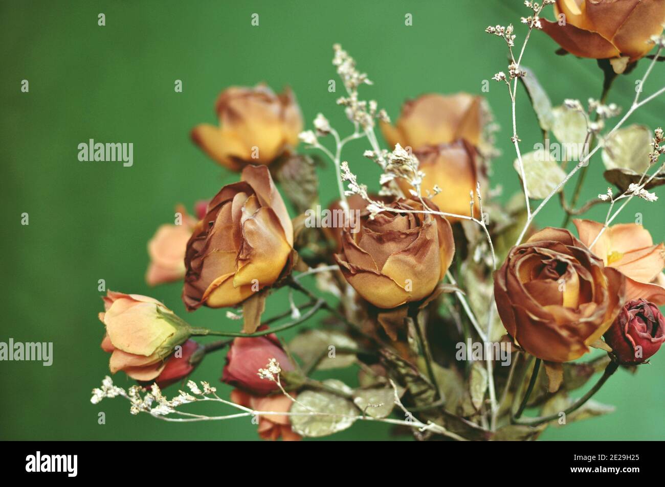 A bouquet of autumn brown colored artificial roses on green background with top side lightening. Stock Photo