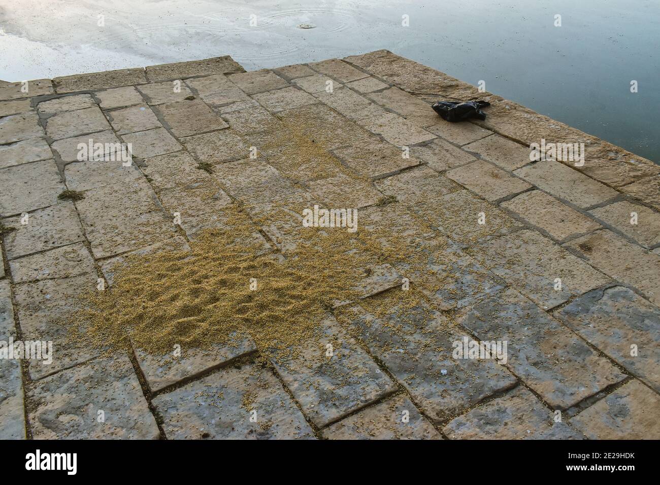 Closeup shot of locking sand into the backyard Stock Photo - Alamy