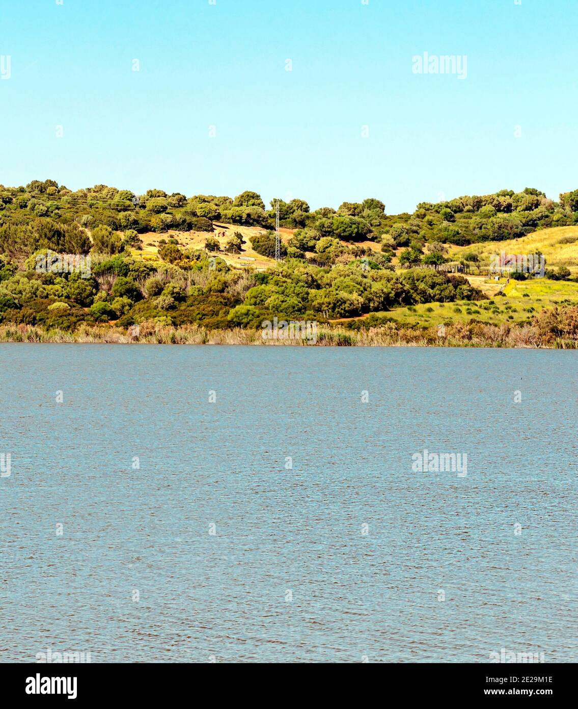 Lake in the fields of Andalusia Stock Photo Alamy