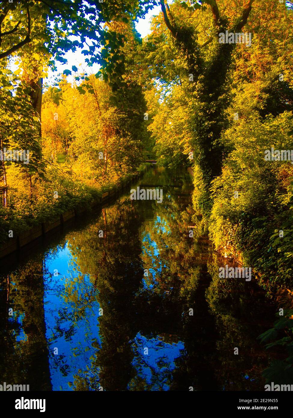 Mesmerizing view of a reflection of trees in a canal Stock Photo - Alamy