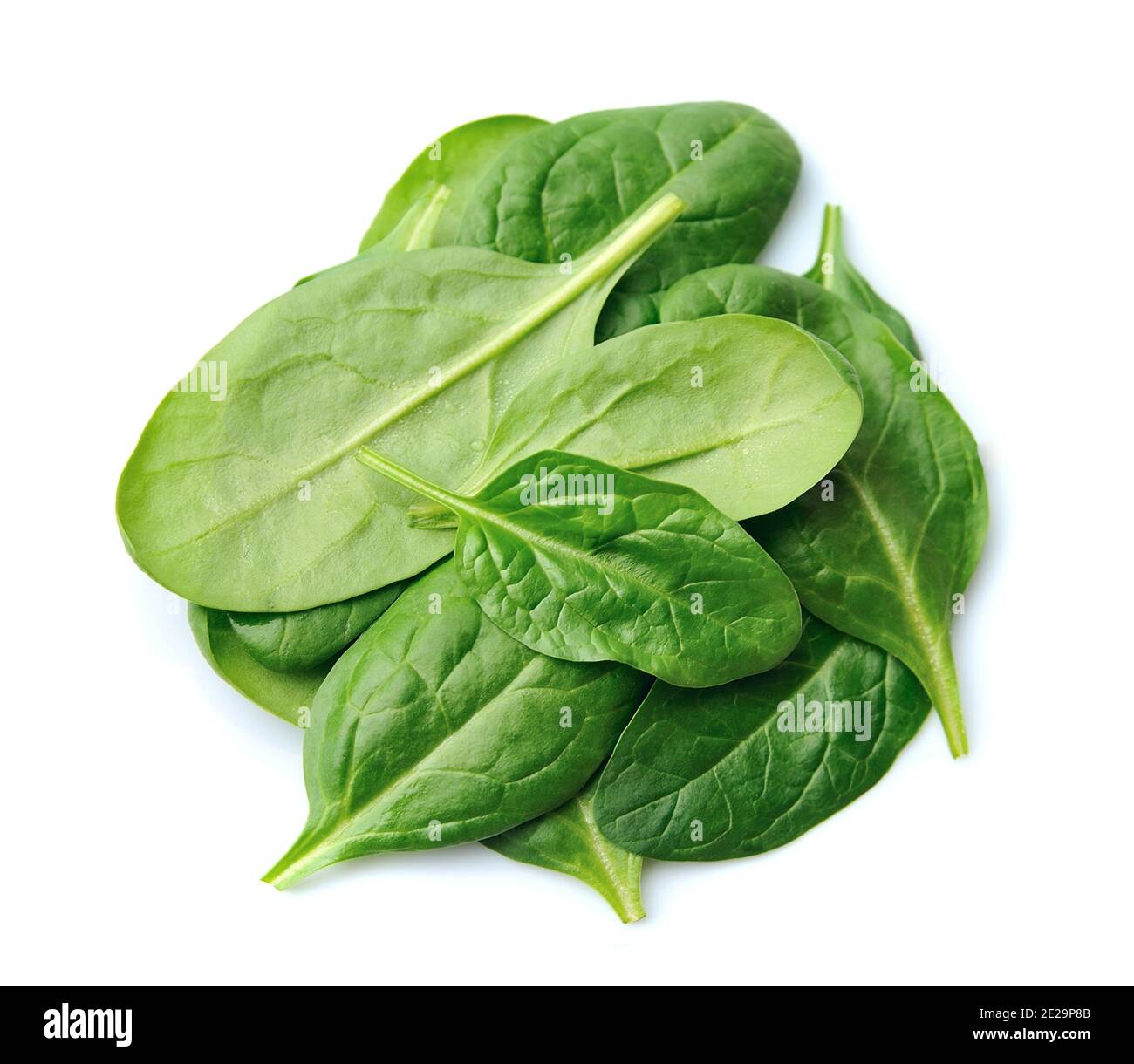 Fresh spinach leaves isolated on white backgrounds Stock Photo - Alamy