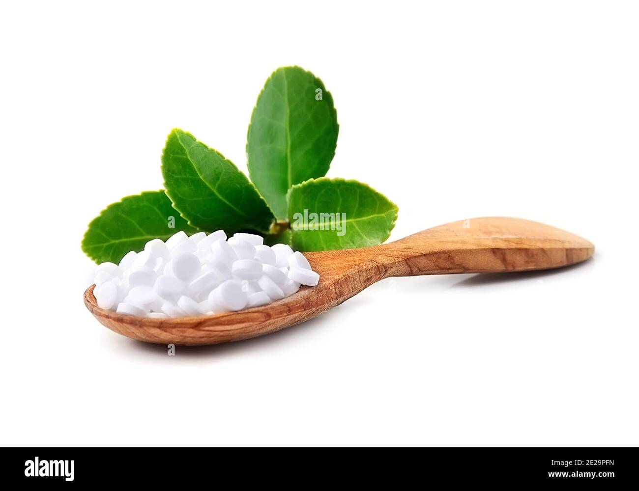 Stevia plant. Sweet leaf sugar substitute isolated on white backgrounds