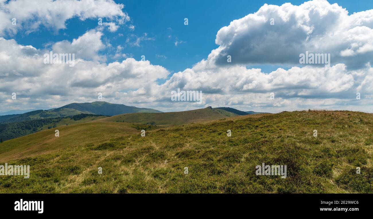 Carpathian mountains in Romania covered by meadows, deep forest and few rock formations on hill summits - Valcan mountain range Stock Photo
