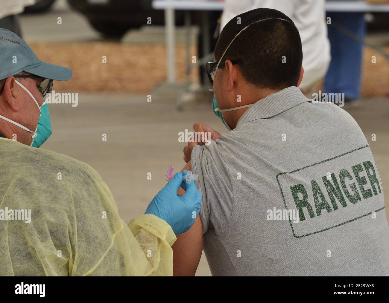 Los Angeles, California, USA. 13th Jan, 2021. A park ranger is inoculated with the Moderna COVID-19 vaccine at the Balboa Sports Center vaccination site in Los Angeles on Tuesday, January 12, 2021. People aged 65 and older and those with serious.underlying health conditions in Los Angeles and across California could quickly become eligible for a COVID-19 vaccine, with federal officials urging states Tuesday to more widely distribute the shots. Photo by Jim Ruymen/UPI Credit: UPI/Alamy Live News Stock Photo
