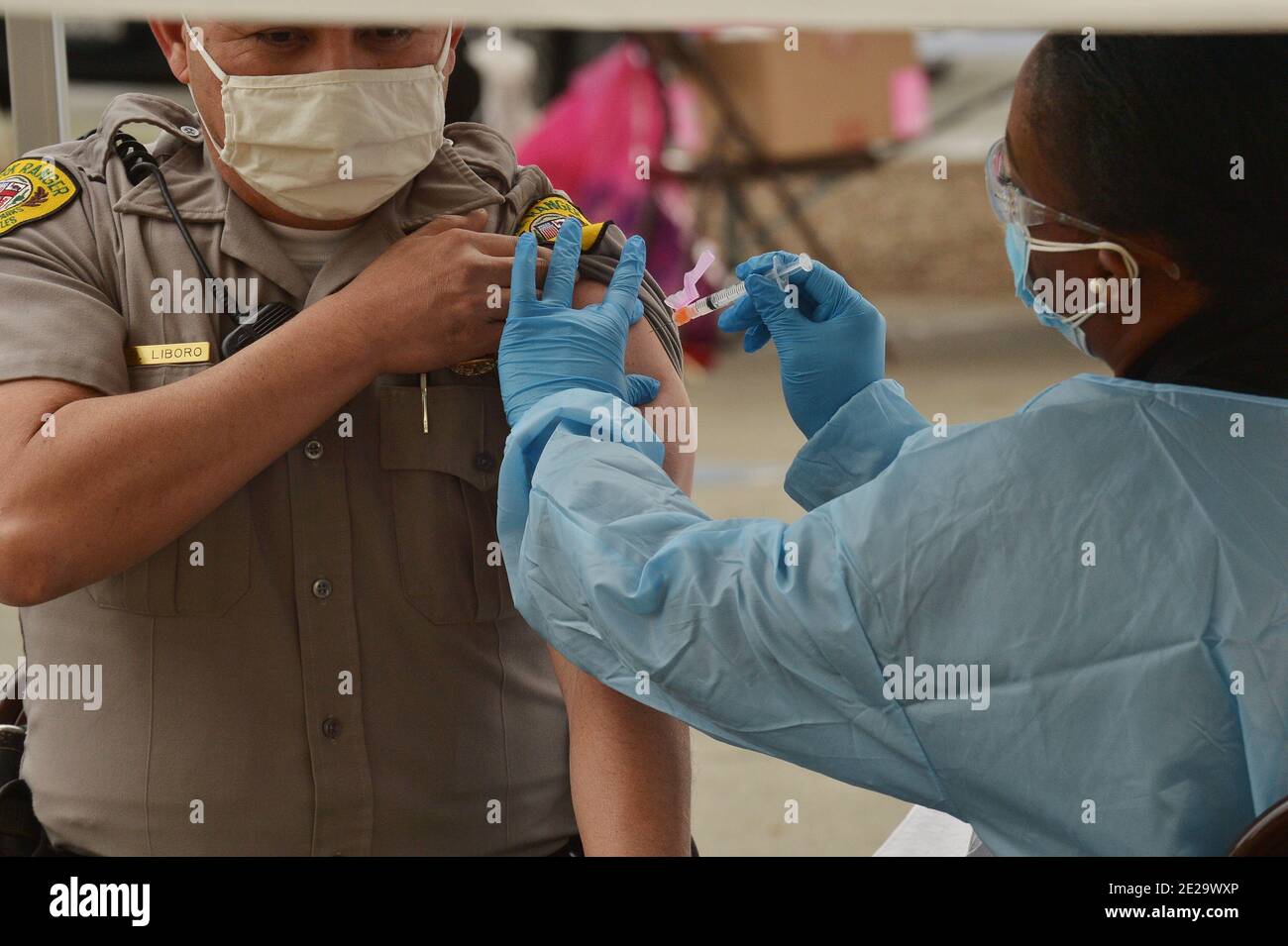 Los Angeles, California, USA. 13th Jan, 2021. A park ranger is inoculated with the Moderna COVID-19 vaccine at the Balboa Sports Center vaccination site in Los Angeles on Tuesday, January 12, 2021. People aged 65 and older and those with serious.underlying health conditions in Los Angeles and across California could quickly become eligible for a COVID-19 vaccine, with federal officials urging states Tuesday to more widely distribute the shots.  Photo by Jim Ruymen/UPI Credit: UPI/Alamy Live News Stock Photo