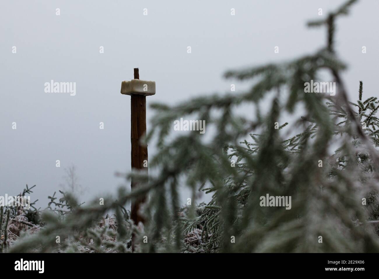 Salt lick block hires stock photography and images Alamy