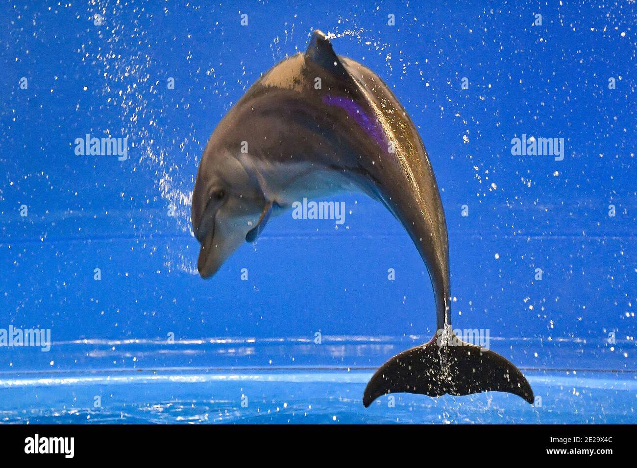 Correction Centre High Resolution Stock Photography And Images Alamy