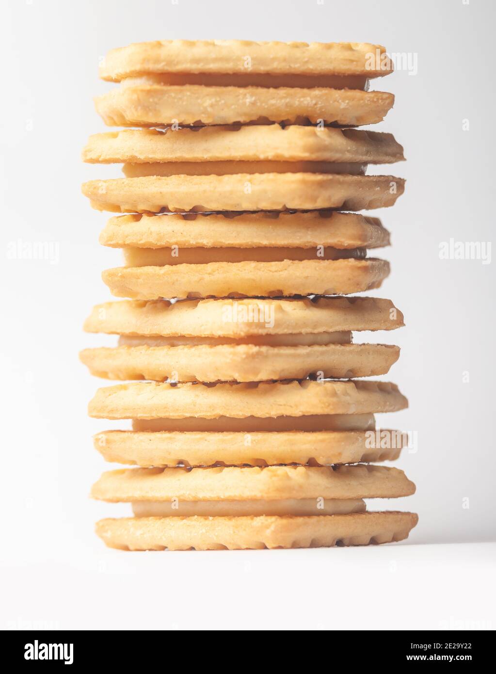 Close up of a custard cream biscuit on a white background. Stock Photo