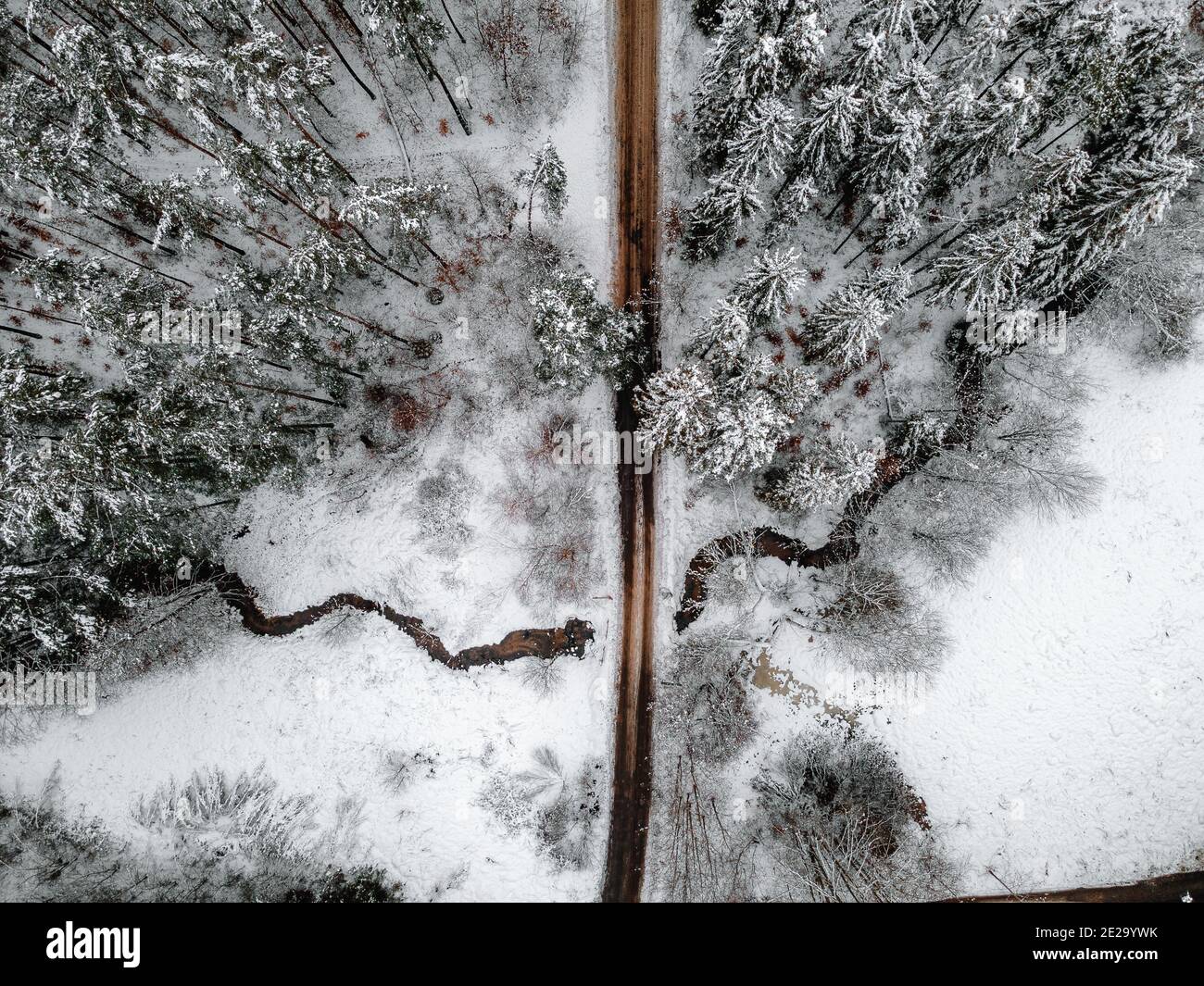 a snowy winter forest through which a small river flows, a photo from ...