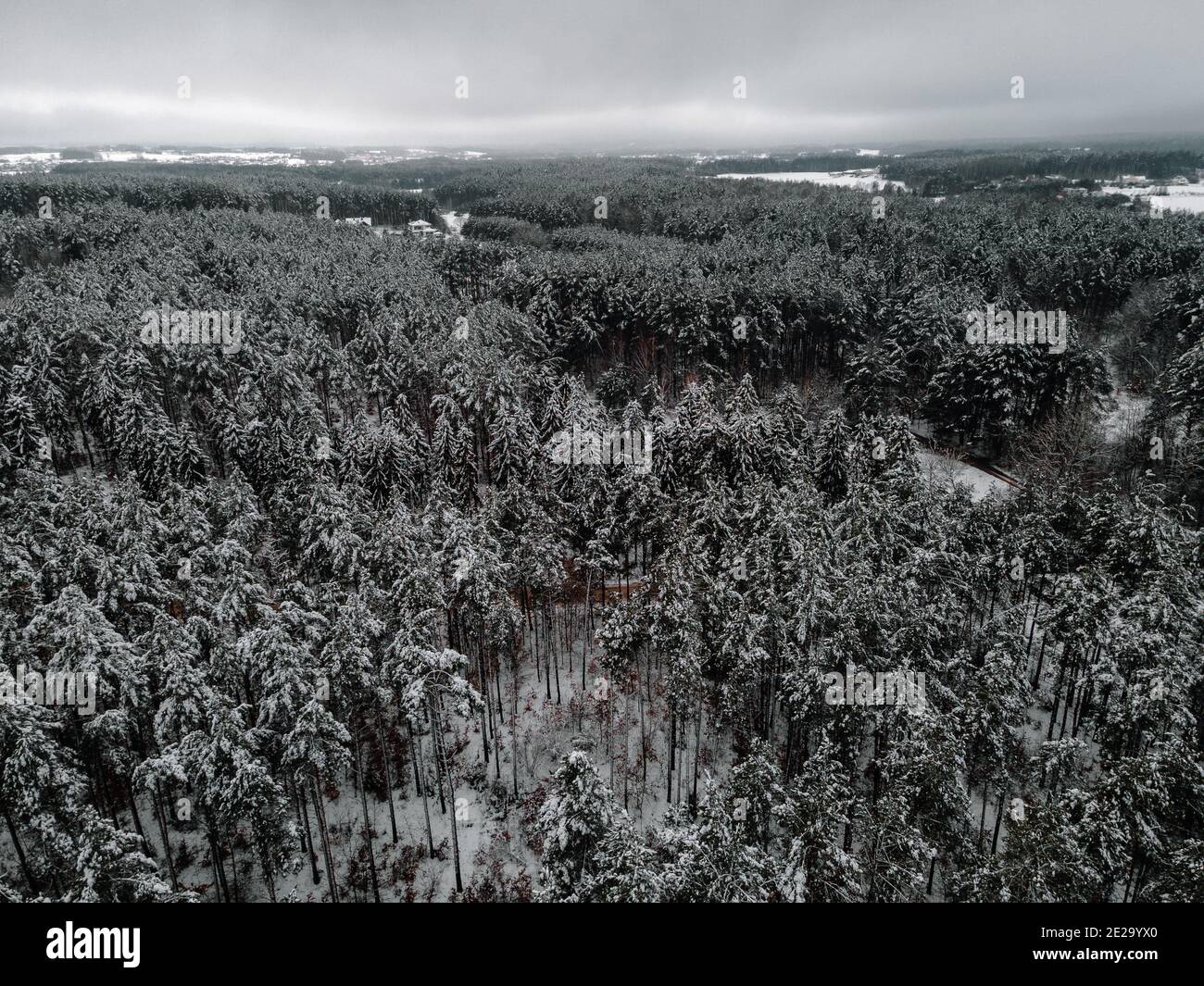 a snowy winter forest through which a small river flows, a photo from ...